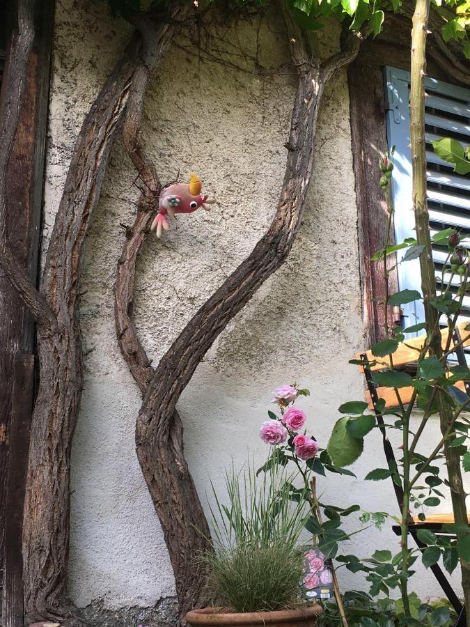 B&B De Charme La Maison Des 5 Temps Ferrette Ngoại thất bức ảnh