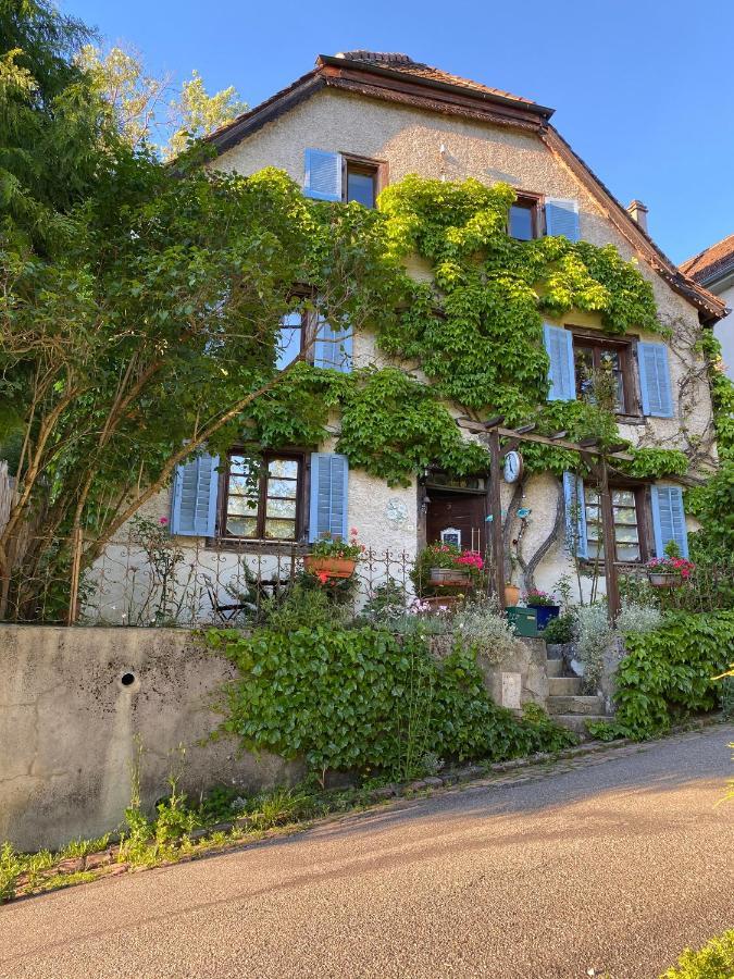B&B De Charme La Maison Des 5 Temps Ferrette Ngoại thất bức ảnh