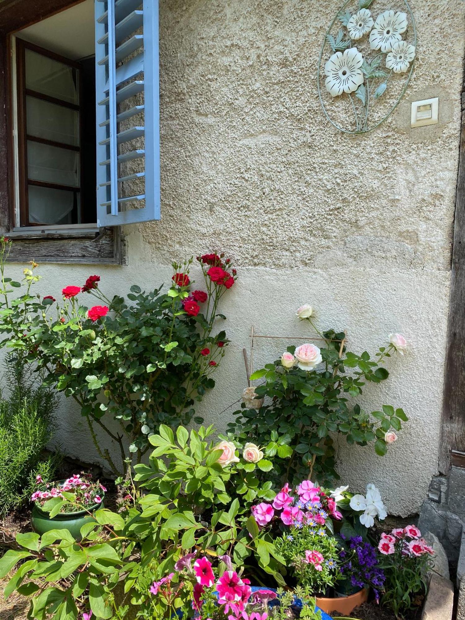 B&B De Charme La Maison Des 5 Temps Ferrette Phòng bức ảnh