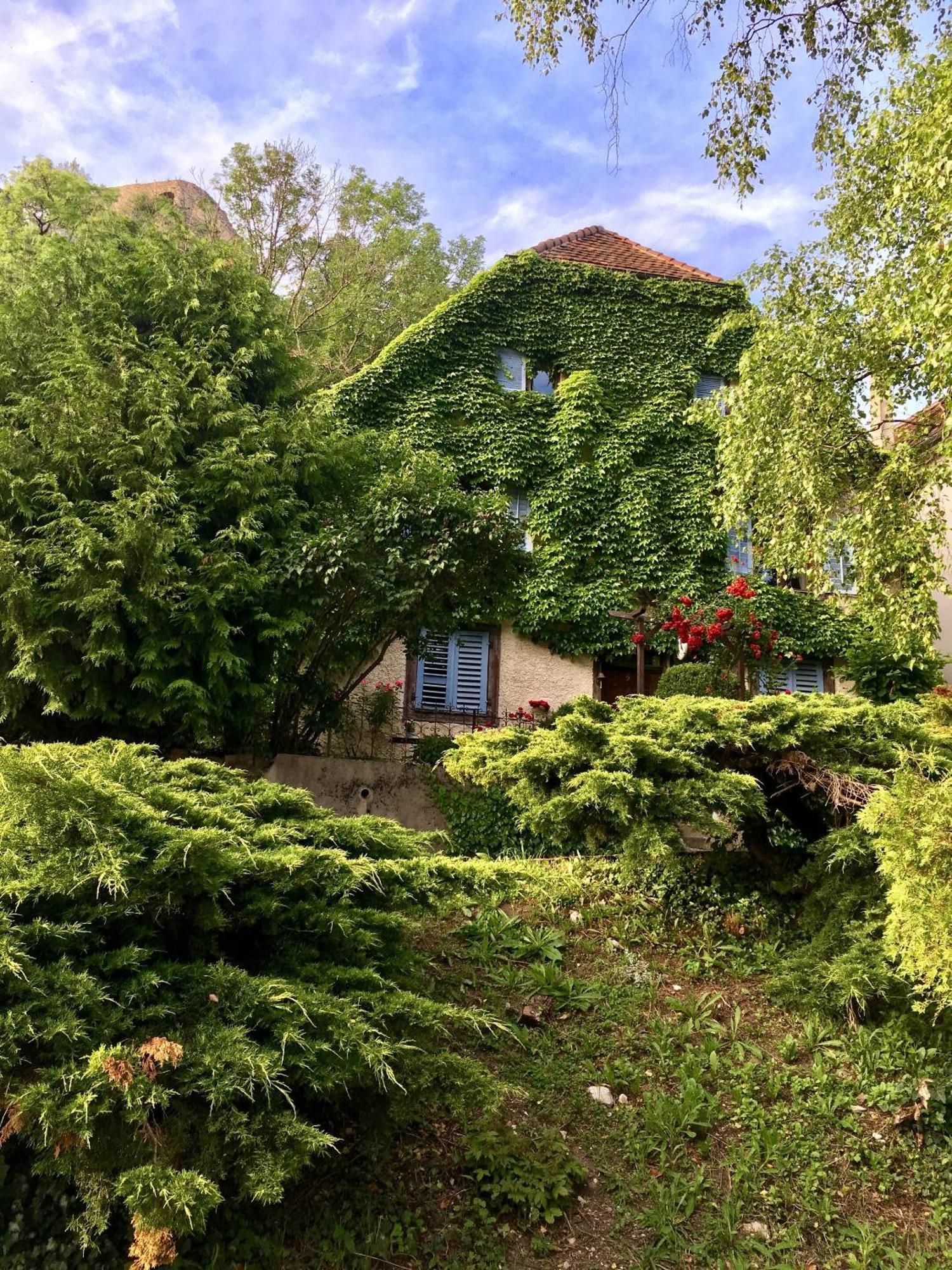 B&B De Charme La Maison Des 5 Temps Ferrette Ngoại thất bức ảnh